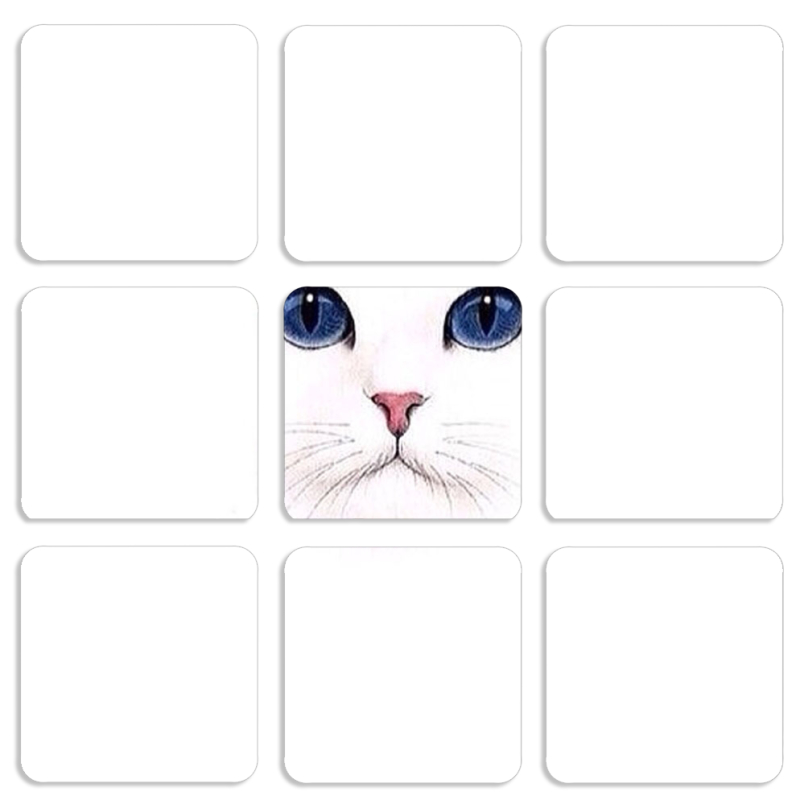 Магнитные фотопазлы 50 на 50 набор 9 штук 