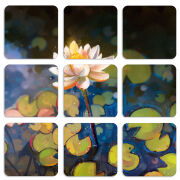 Магнитные фотопазлы 50 на 50 набор 9 штук Waterlily