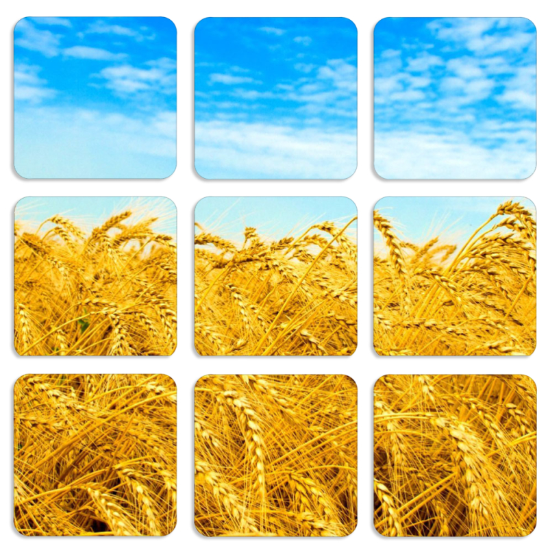 Магнитные фотопазлы 50 на 50 набор 9 штук 