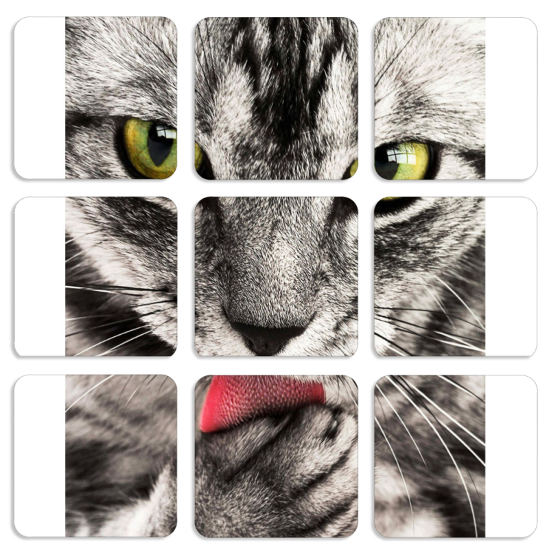 Магнитные фотопазлы 50 на 50 набор 9 штук 