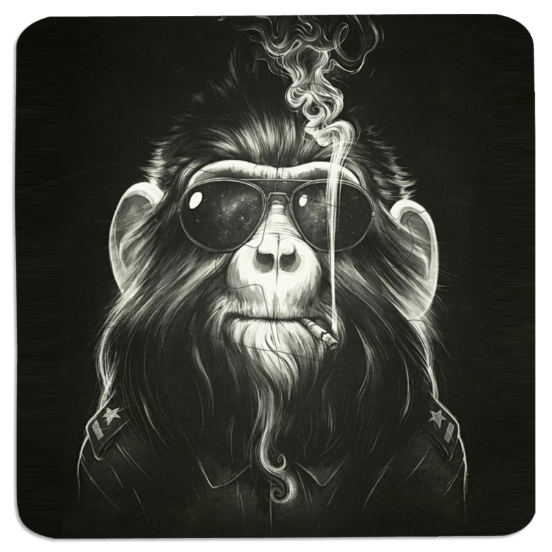 Магнитные фотопазлы 90 на 90 Smokey Monkey