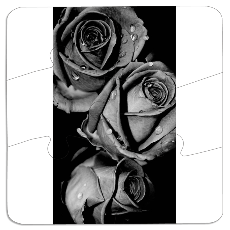 Магнитные фотопазлы 90 на 90 Black and White Roses