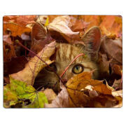 Магнитные фотопазлы 85 на 65 