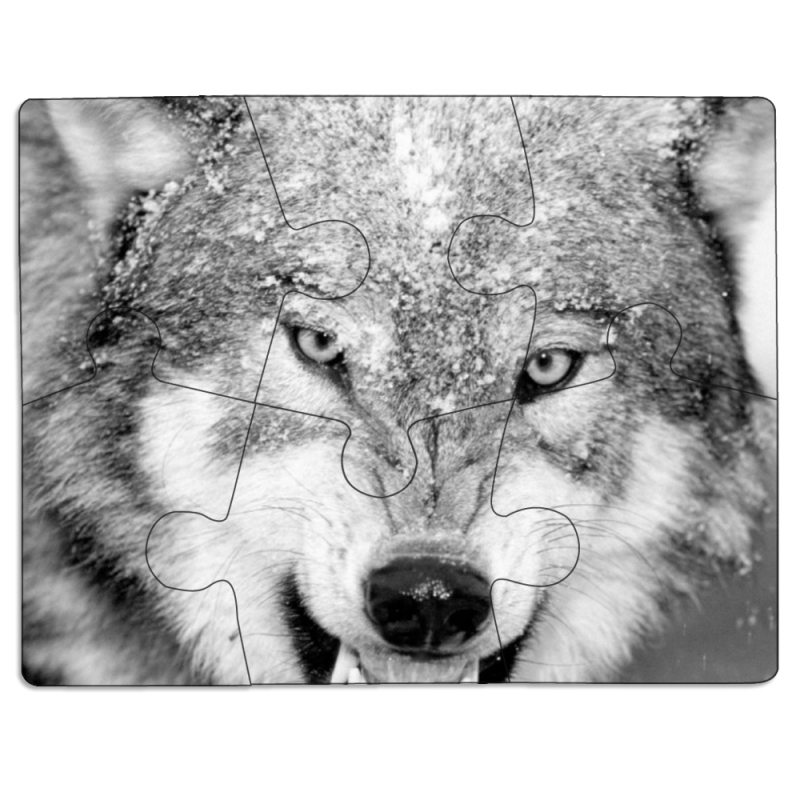 Магнитные фотопазлы 85 на 65 