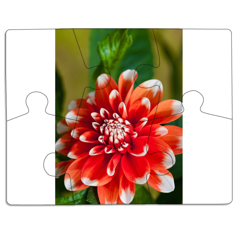 Магнитные фотопазлы 85 на 65 