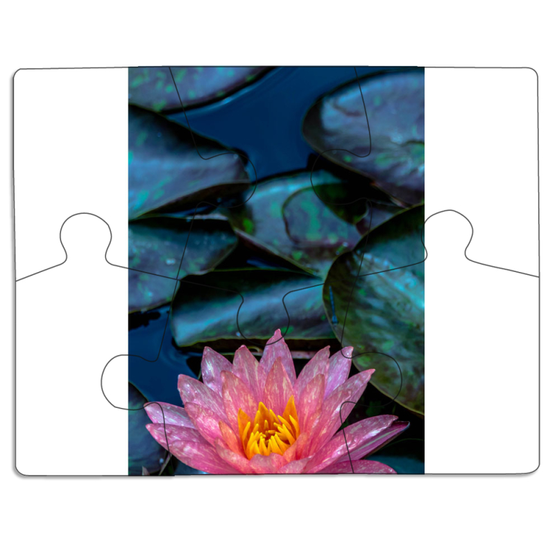 Магнитные фотопазлы 85 на 65 