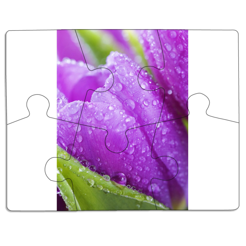 Магнитные фотопазлы 85 на 65 