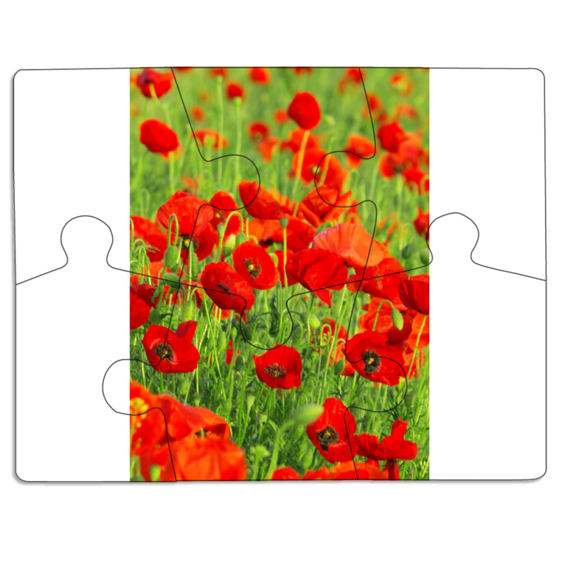 Магнитные фотопазлы 85 на 65 