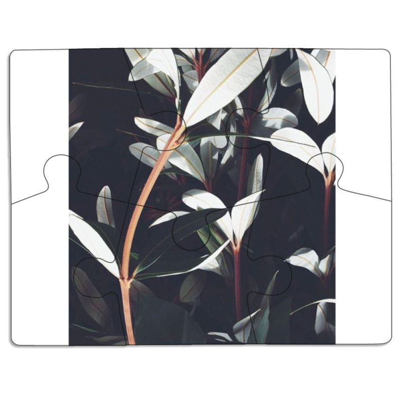 Магнитные фотопазлы 85 на 65 