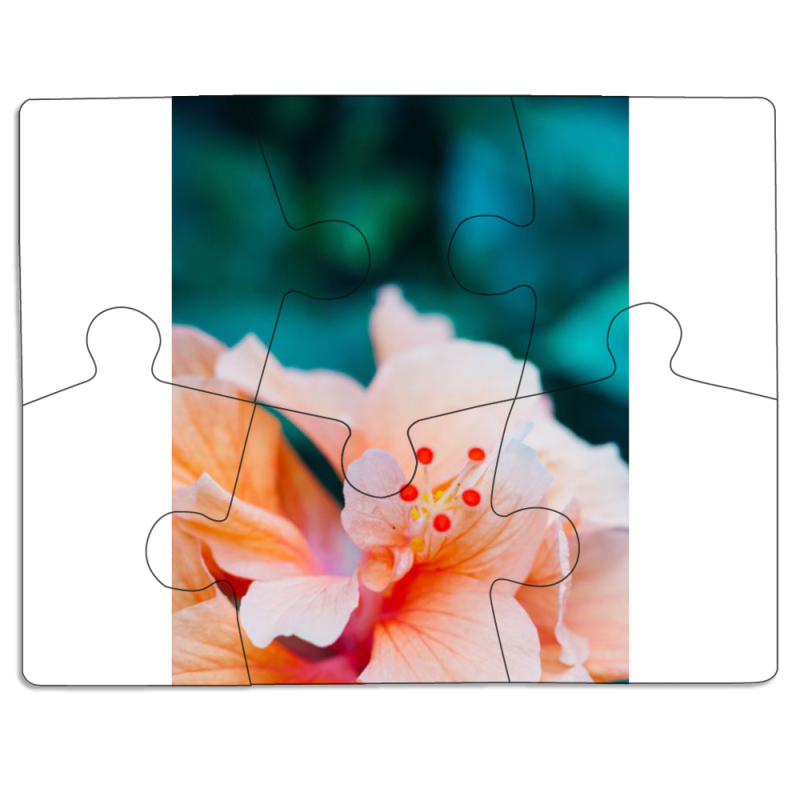 Магнитные фотопазлы 85 на 65 