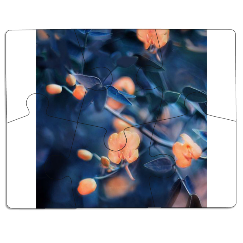 Магнитные фотопазлы 85 на 65 