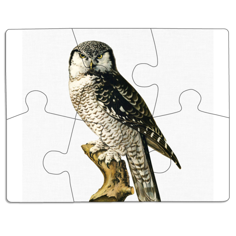 Магнитные фотопазлы 85 на 65 