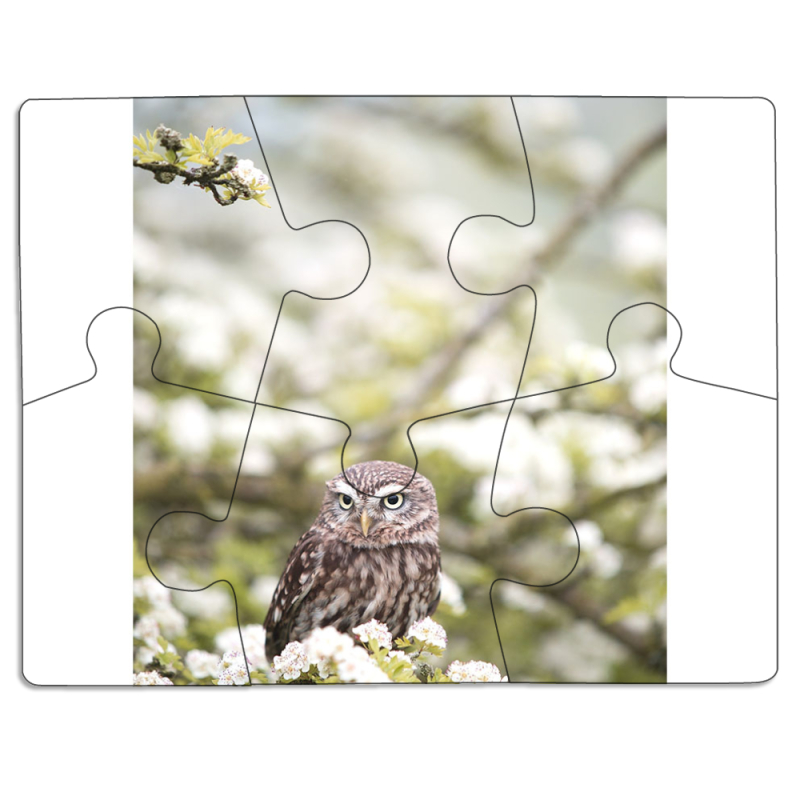 Магнитные фотопазлы 85 на 65 