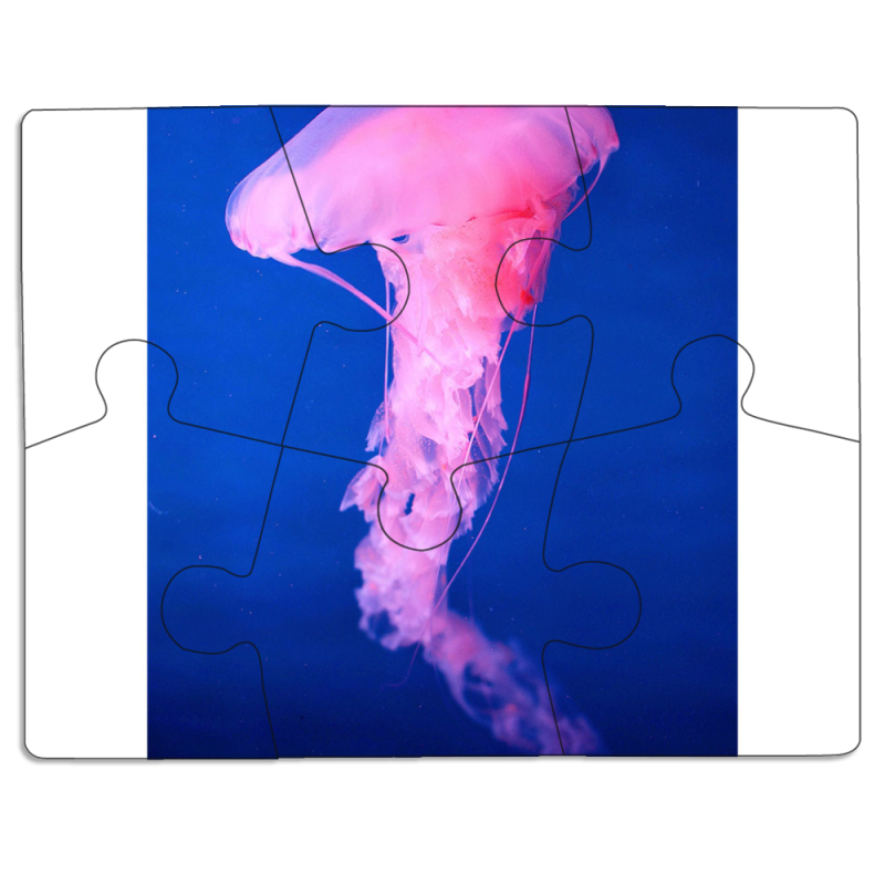 Магнитные фотопазлы 85 на 65 