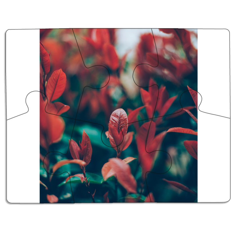 Магнитные фотопазлы 85 на 65 