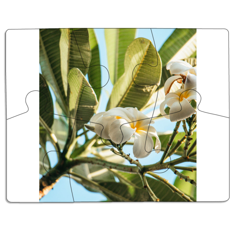 Магнитные фотопазлы 85 на 65 