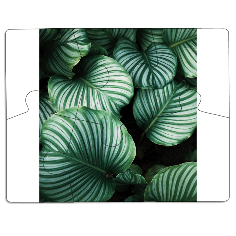 Магнитные фотопазлы 85 на 65 