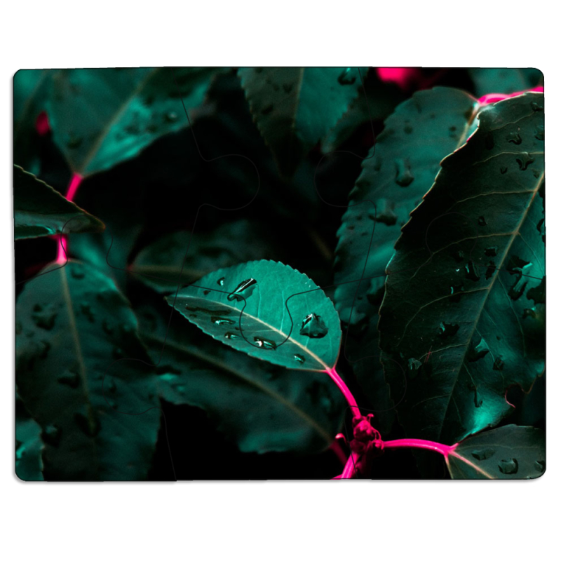 Магнитные фотопазлы 85 на 65 