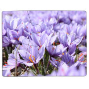 Магнитные фотопазлы 85 на 65 