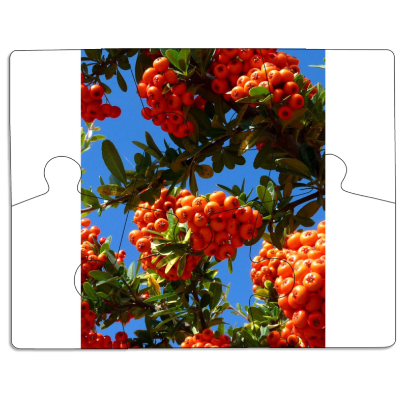 Магнитные фотопазлы 85 на 65 