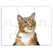 Магнитные фотопазлы 85 на 65 