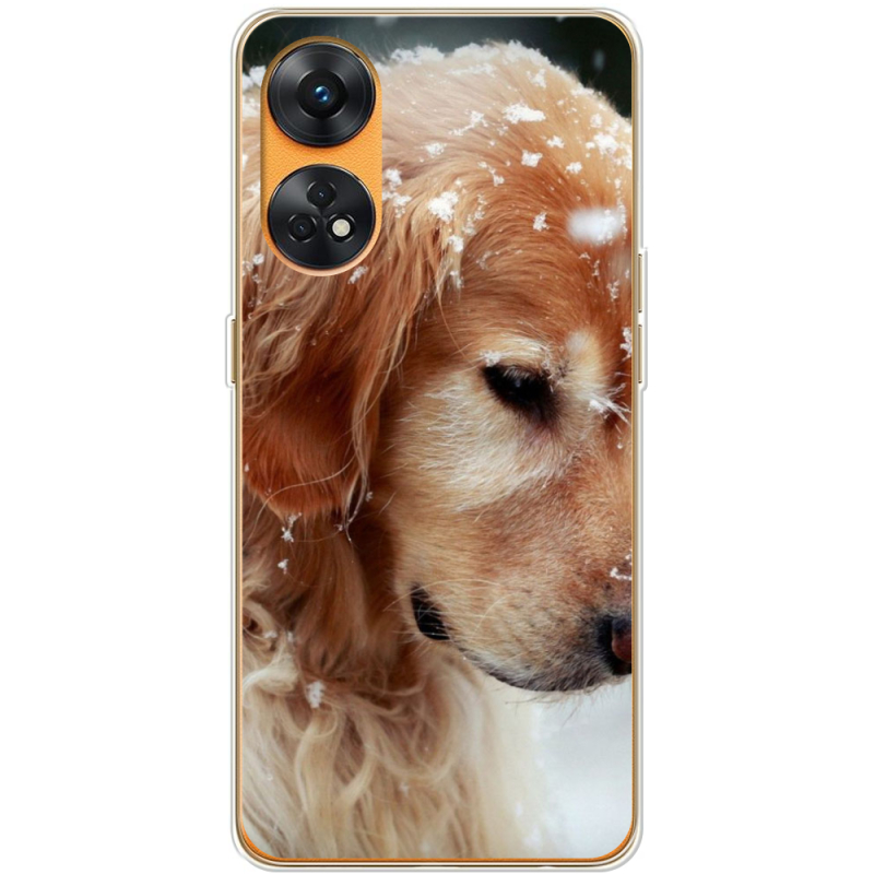 Чехол BoxFace OPPO Reno 8T 4G Golden Retriever