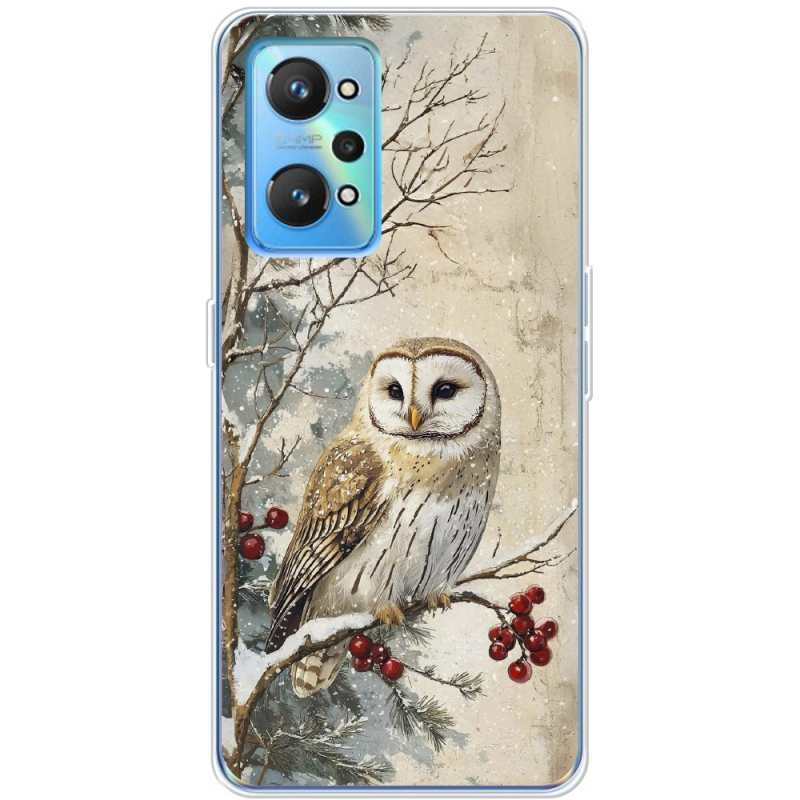 Чехол BoxFace Realme GT2 Christmas Owl