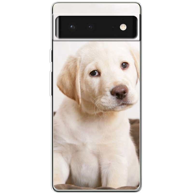 Чехол BoxFace Google Pixel 6 Puppy Labrador