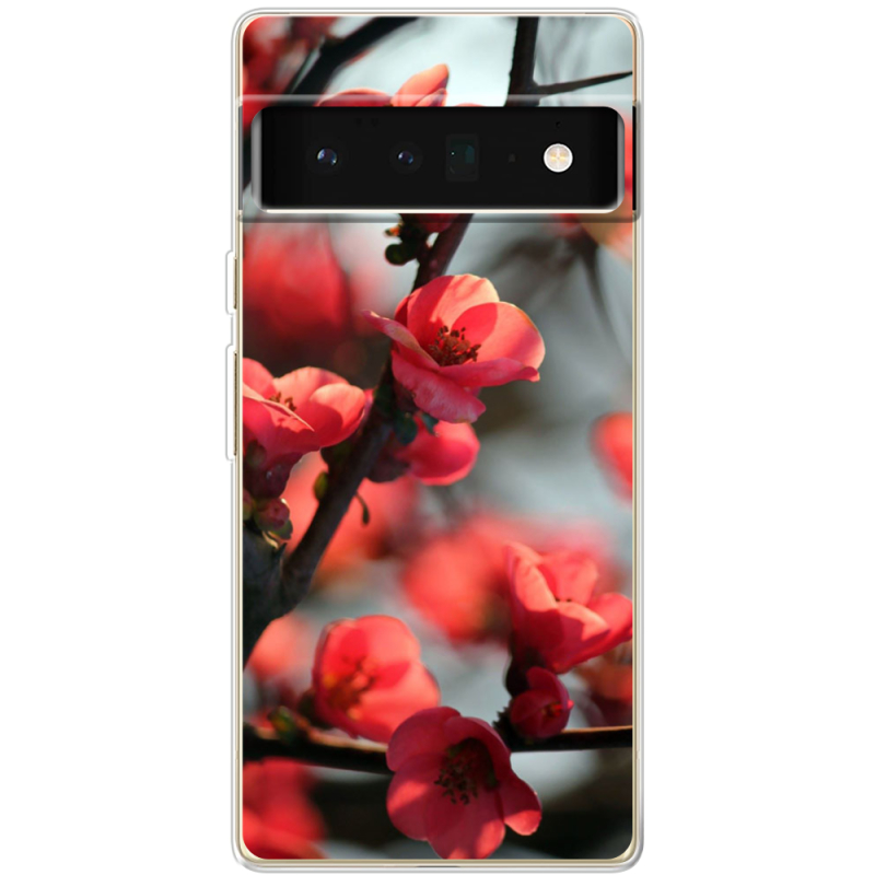 Чехол BoxFace Google Pixel 6 Pro Awakening Spring