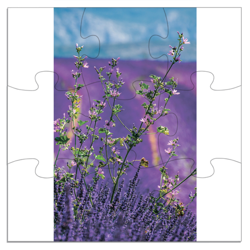 Магнитные фотопазлы 180 на 180 Lavender Field