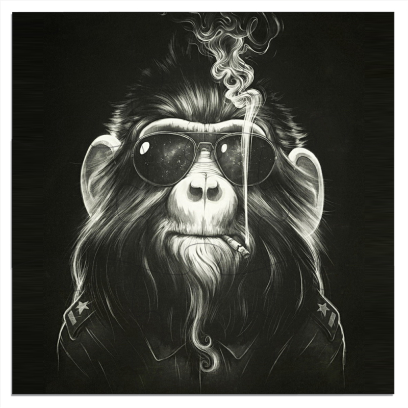 Магнитные фотопазлы 180 на 180 Smokey Monkey