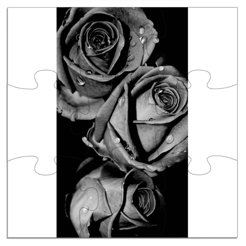 Магнитные фотопазлы 180 на 180 Black and White Roses