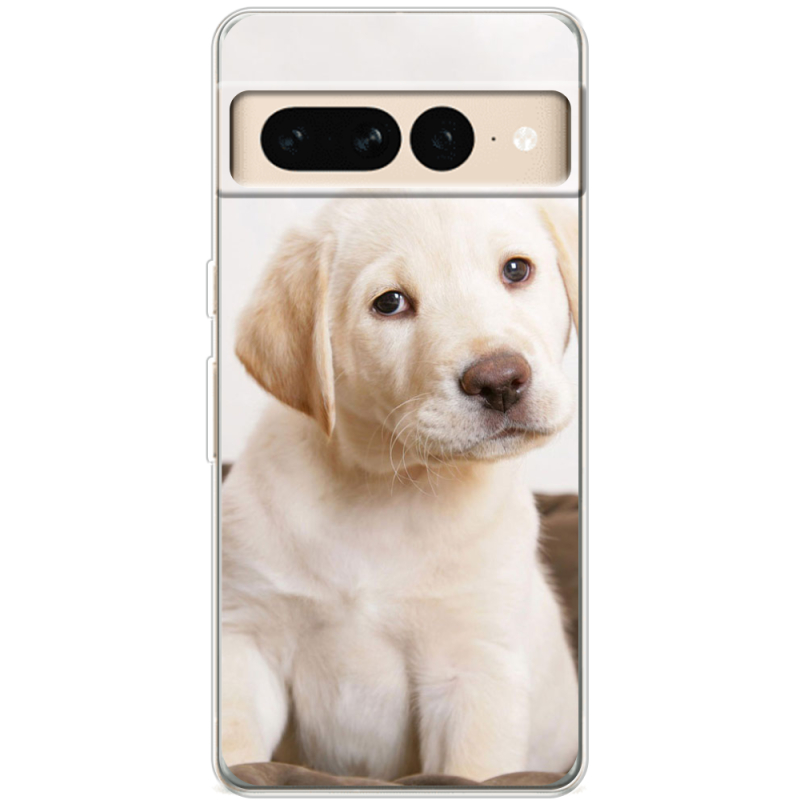 Чехол BoxFace Google Pixel 7 Pro Puppy Labrador