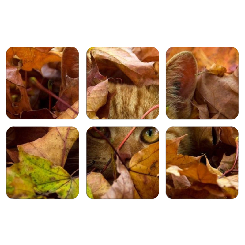 Магнитные фотопазлы 50 на 50 набор 6 штук 