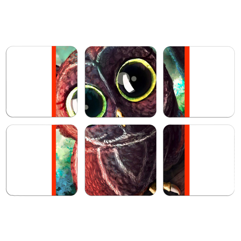 Магнитные фотопазлы 50 на 50 набор 6 штук 