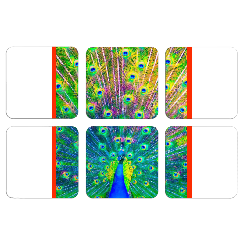 Магнитные фотопазлы 50 на 50 набор 6 штук 