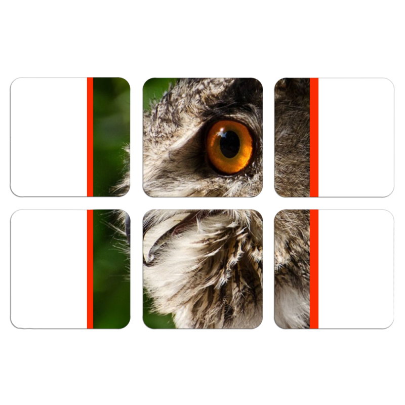 Магнитные фотопазлы 50 на 50 набор 6 штук 