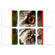 Магнитные фотопазлы 50 на 50 набор 6 штук 