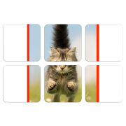 Магнитные фотопазлы 50 на 50 набор 6 штук 