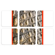 Магнитные фотопазлы 50 на 50 набор 6 штук 