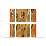 Магнитные фотопазлы 50 на 50 набор 6 штук 