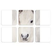 Магнитные фотопазлы 50 на 50 набор 6 штук 