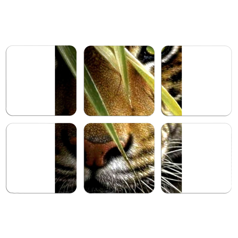 Магнитные фотопазлы 50 на 50 набор 6 штук 