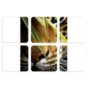 Магнитные фотопазлы 50 на 50 набор 6 штук 