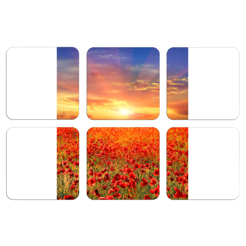 Магнитные фотопазлы 50 на 50 набор 6 штук 