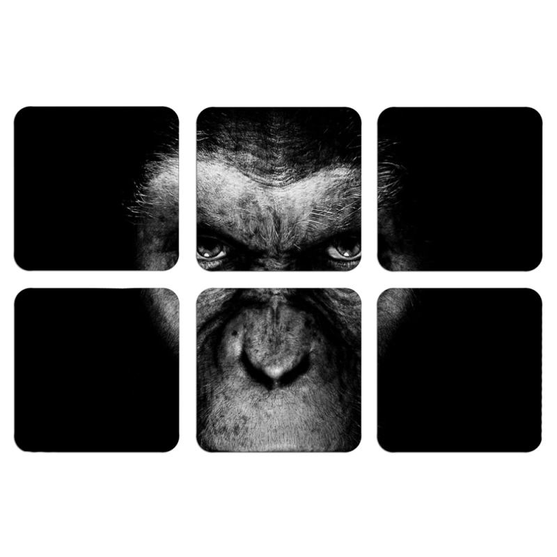 Магнитные фотопазлы 50 на 50 набор 6 штук 