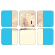 Магнитные фотопазлы 50 на 50 набор 6 штук 