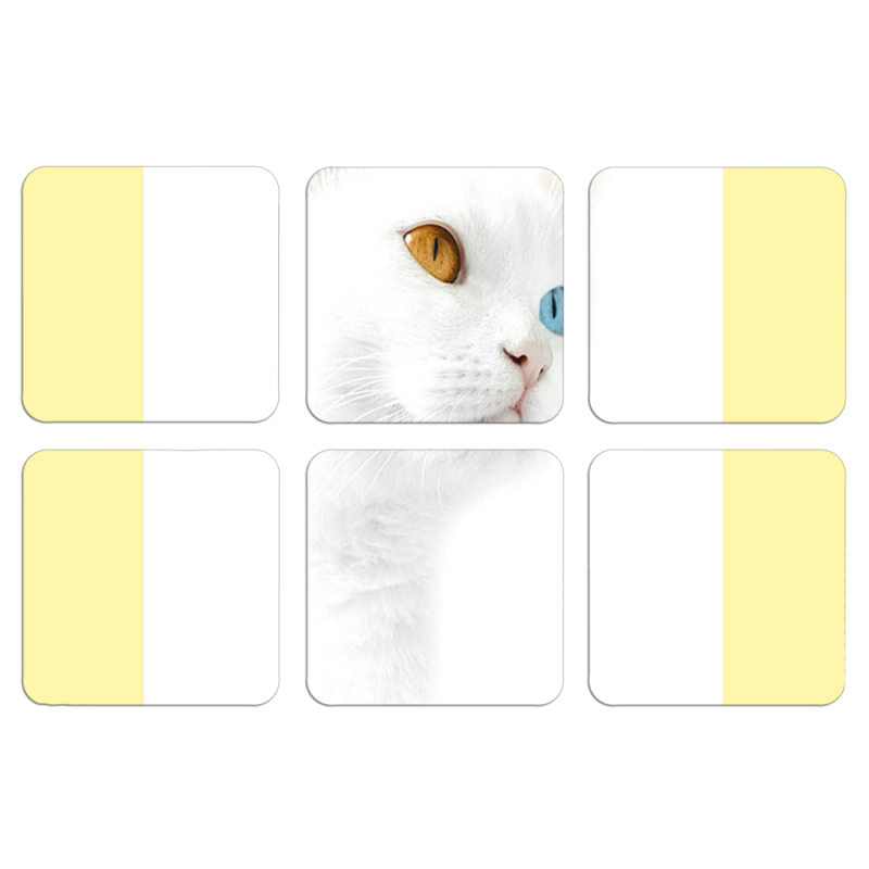 Магнитные фотопазлы 50 на 50 набор 6 штук 