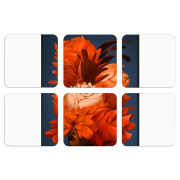 Магнитные фотопазлы 50 на 50 набор 6 штук Exquisite Orange Flowers