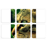 Магнитные фотопазлы 50 на 50 набор 6 штук 